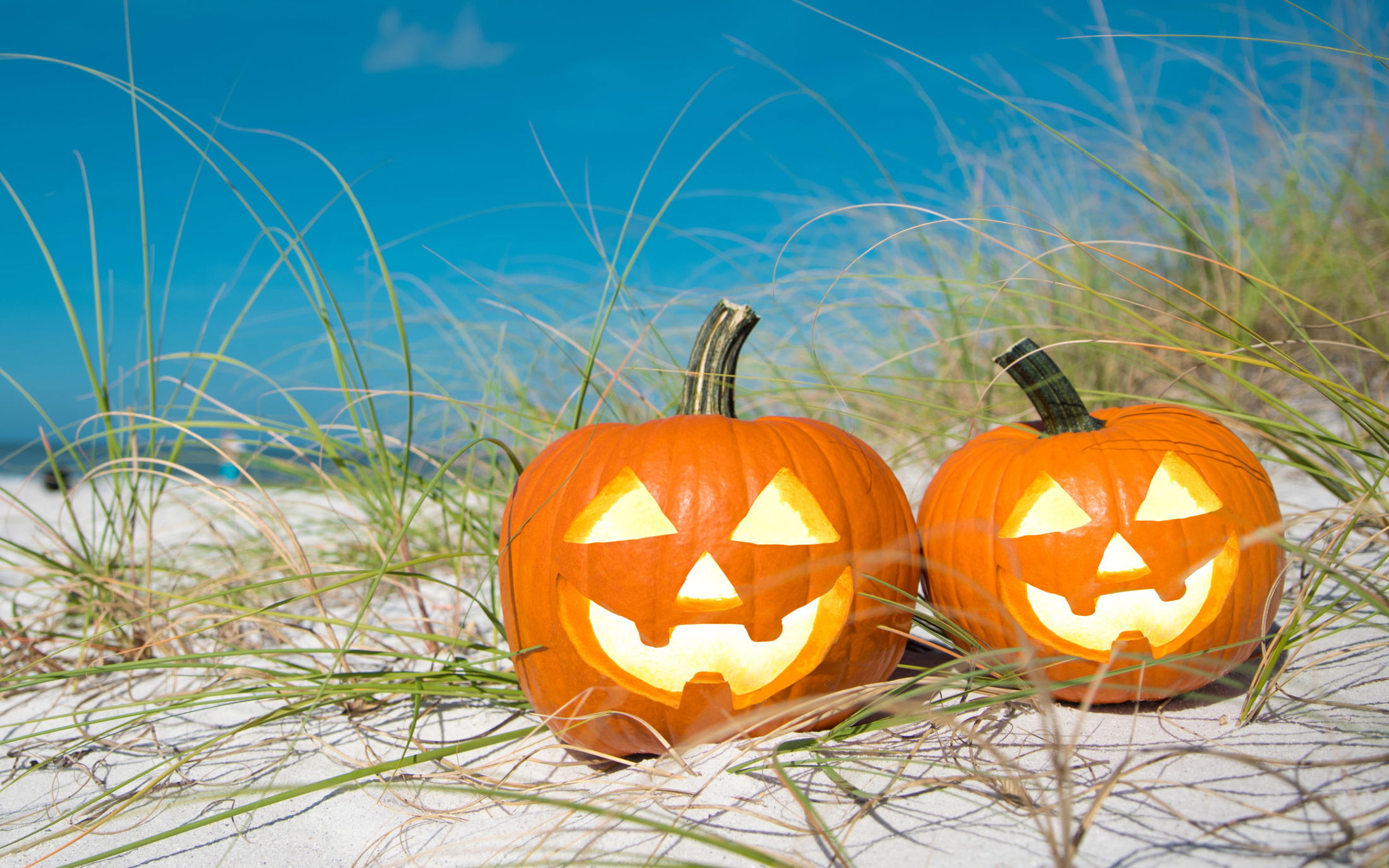 Trick or Treat Times: East Coast Florida